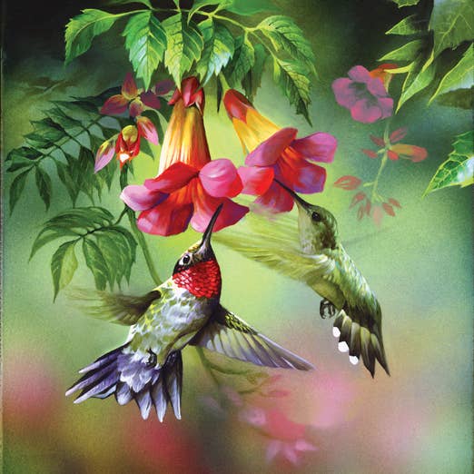 SunsOut - 0697 Summer Hummer 1000 pc Puzzle