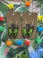 Monstera creations - Green Butterfly Wings